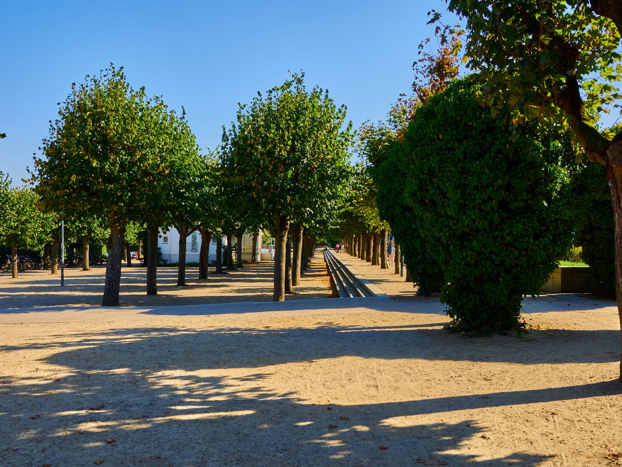 Landschaft 2024  1840 Usedom